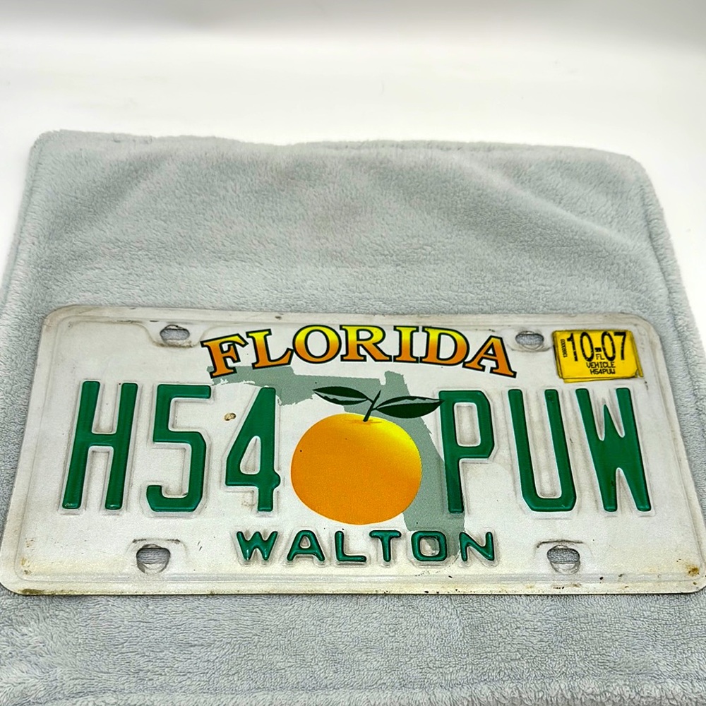 Vintage Florida license Plate Walton County H54 PUW  Exp Date 10/2007